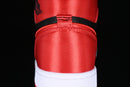 Air Jordan 1 Retro High - Satin Bred